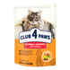 Сухий корм для котів Club 4 Paws Premium виведення шерсті 300 г
