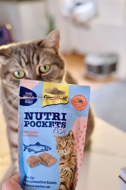 Ласощі для котів GimCat Nutri Pockets Fish Лосось 60 г