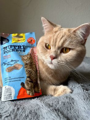 Ласощі для котів GimCat Nutri Pockets Fish Лосось 60 г