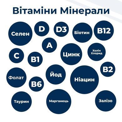 Вітаміни та добавки для котів Набір Замінник материнського молока Dr.Clauder's Pro Life Kitten Milk Plus 300 г для кошенят, годуючих кішок, старих та ослаблених тварин +пляшечка + 2 соски