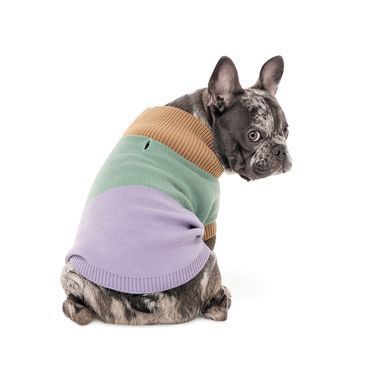 Одяг Одяг Светр в'язаний Pet Fashion Rich для собак S