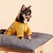 Одяг Одяг Кардиган Pet Fashion Denis для собак розмір XS жовтий