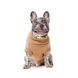 Одяг Одяг Светр в'язаний Pet Fashion Rich для собак S