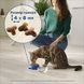 Сухий корм CAT CHOW Kitten для кошенят, з куркою, 15 кг