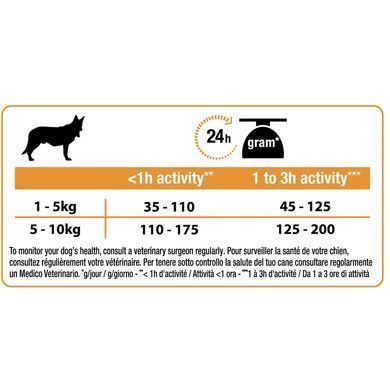 Сухий корм PRO PLAN Small&Mini Adult 1+ Everyday Nutrion для дорослих собак дрібних порід, з куркою, 700 г