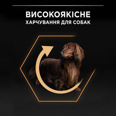 Сухий корм PRO PLAN Small&Mini Adult 1+ Everyday Nutrion для дорослих собак дрібних порід, з куркою, 700 г