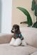 Одяг Одяг Светр Pet Fashion Happy для собак, розмір XS2