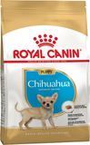 Корм для цуценят породи Чихуахуа ROYAL CANIN CHIHUAHUA PUPPY 500 г