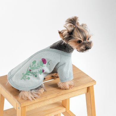 Одяг Одяг Кардиган Pet Fashion Denis для собак розмір XS м&rsquo;ятний
