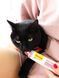 Паста GimCat Every Day Malt-Soft Paste Extra для котів, виведення шерсті зі шлунку, 50 г