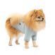 Одяг Одяг Кардиган Pet Fashion Denis для собак розмір XS м&rsquo;ятний