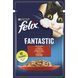 Вологий корм FELIX Fantastic для дорослих котів, шматочки в желе, з яловичиною, 85 г