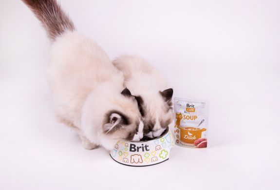 Корм вологий "Суп для котів Brit Care Soup with Duck з качкою", 75 г