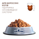 Сухий корм для котів Club 4 Paws Premium сечовивідна 14 кг