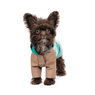 Одяг Одяг Дощовик Pet Fashion Semmy для собак розмір M