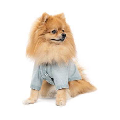 Одяг Одяг Кардиган Pet Fashion Denis для собак розмір XS2 м&rsquo;ятний