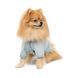 Одяг Одяг Кардиган Pet Fashion Denis для собак розмір XS2 м&rsquo;ятний