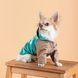 Одяг Одяг Дощовик Pet Fashion Semmy для собак розмір M