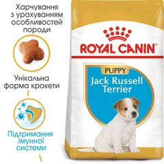 ROYAL CANIN JACK RUSSEL PUPPY 1.5 кг