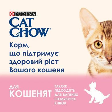Вологий корм CAT CHOW Kitten для кошенят, шматочки в желе, з індичкою та цукіні, 85 г