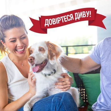 Спрей 8in1 NM ADV Dog Stain&Odor Elimin Spray для собак для усунення плям та запахів, з посиленою формулою, 946 мл