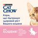Вологий корм CAT CHOW Kitten для кошенят, шматочки в желе, з індичкою та цукіні, 85 г